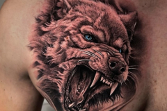 Lobo pecho