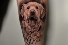 Perrito