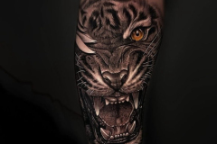 Tigre rugiendo