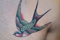 tatuaje-de-golondrina