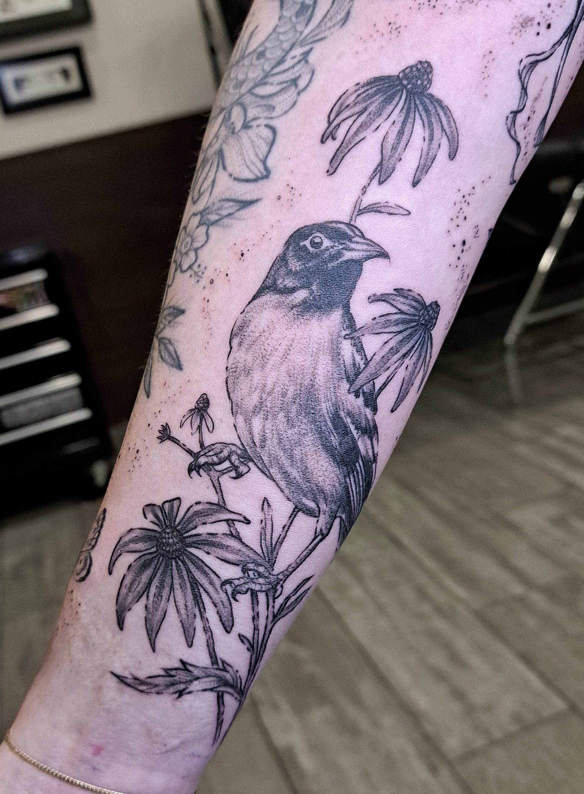 tatuaje blackwork ruiseñor